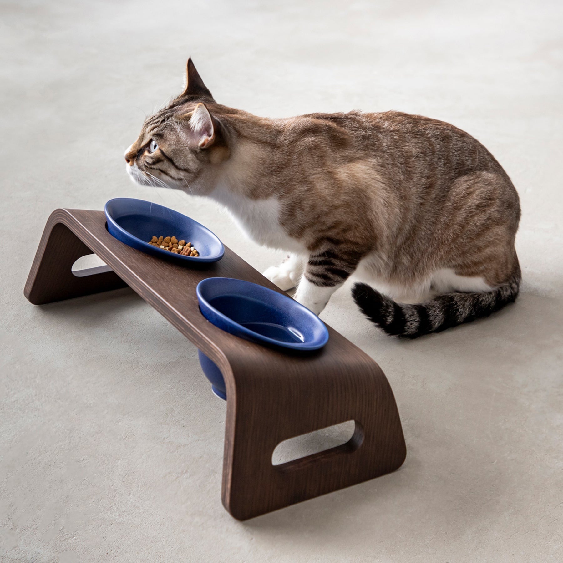 KARIMOKU CAT TABLE