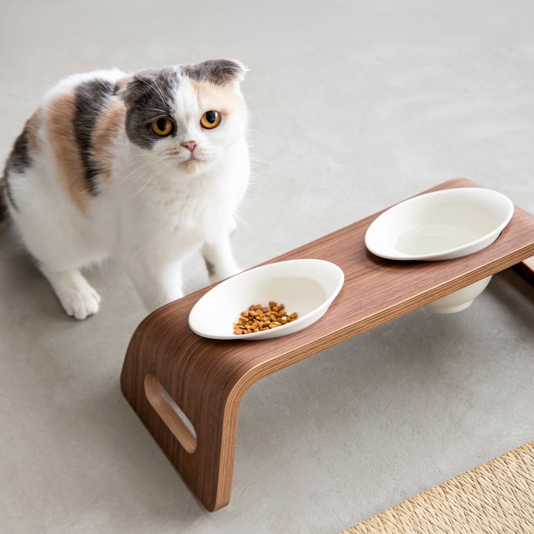 KARIMOKU CAT TABLE