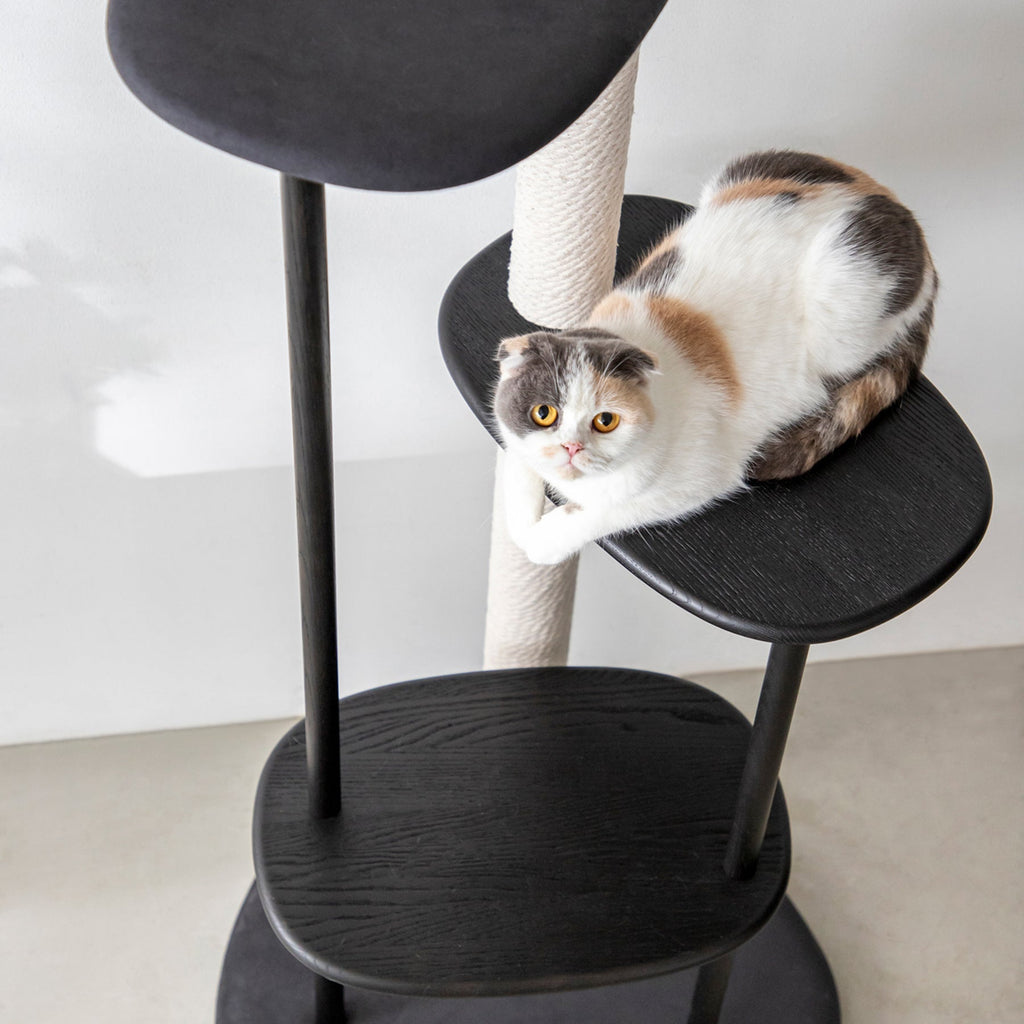 KARIMOKU CAT TREE　KANADEMONO オリジナルカラー