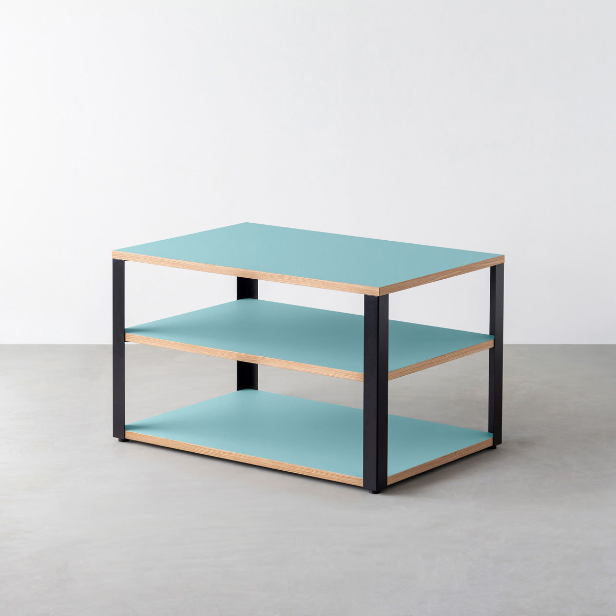 KanademonoのリノリウムAquavert棚板とマットブラック鉄脚のストレージシェルフ幅60~120cm（奥行30~40cm）