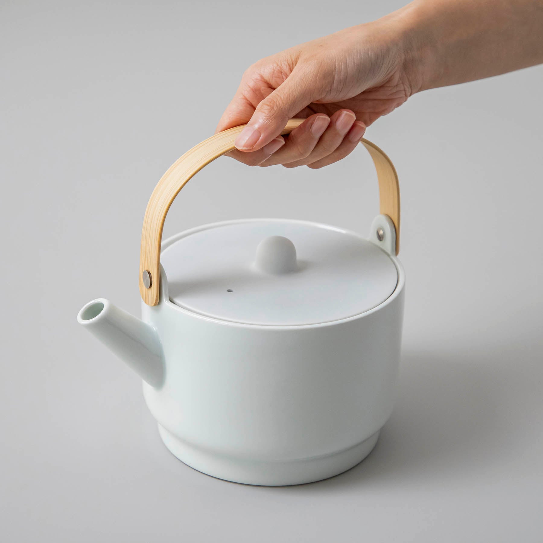 1616 / arita japan　"Colour Porcelain" ティーポット