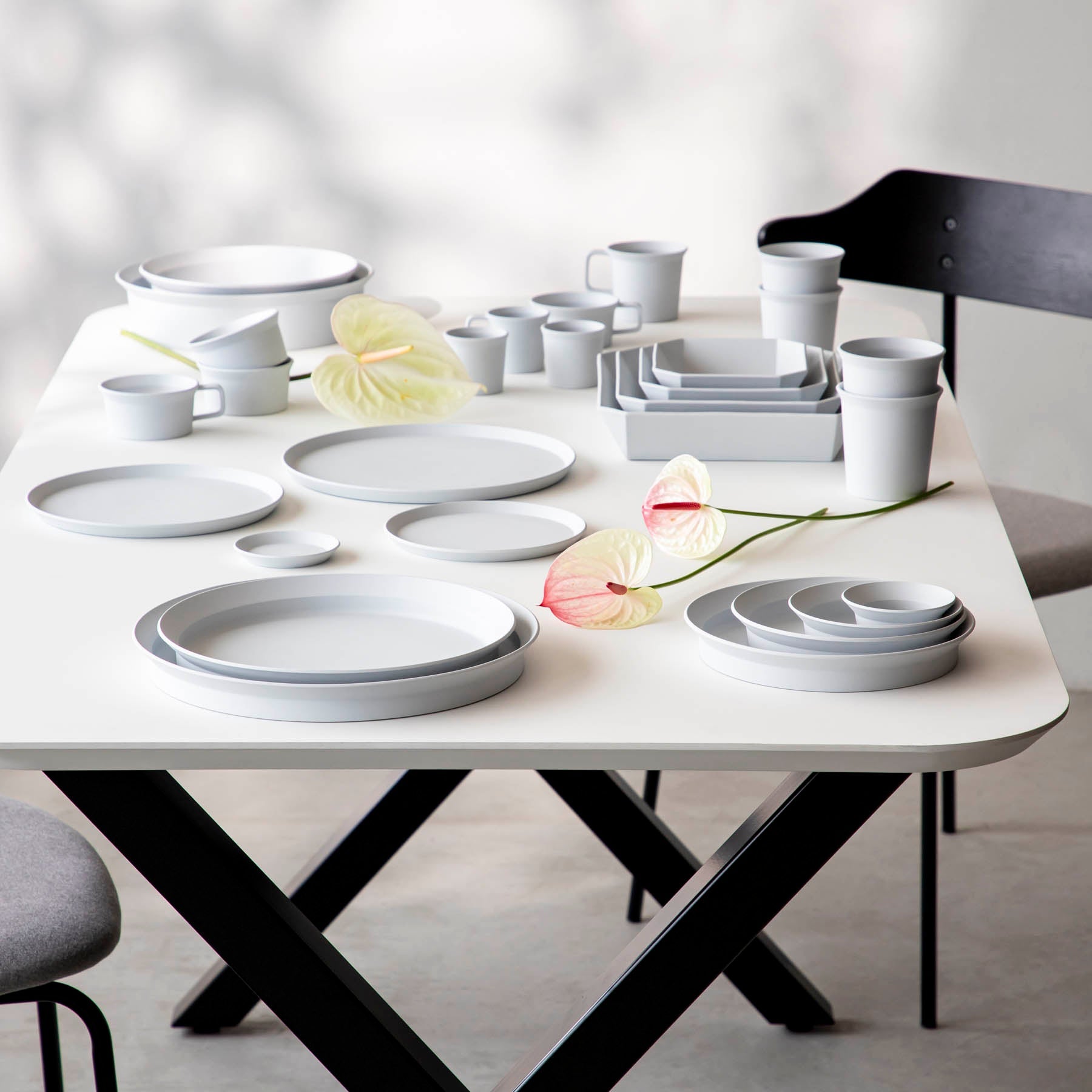 1616 / arita japan　"Standard" プレート　Flat・Deep　80 - 280mm