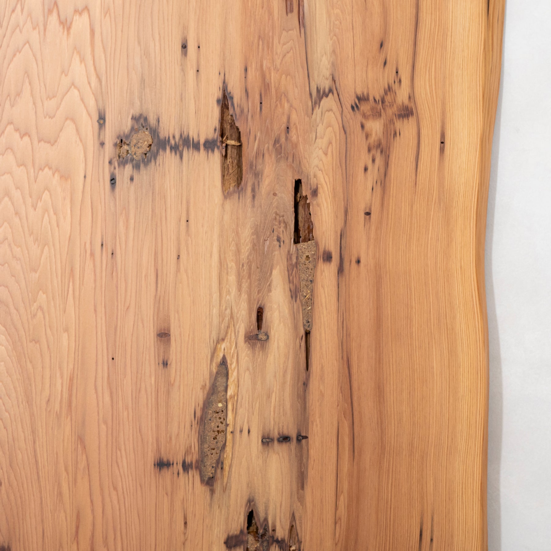 厳選一枚板 / 屋久杉 #0046　1950 × 622 ~ 855 mm