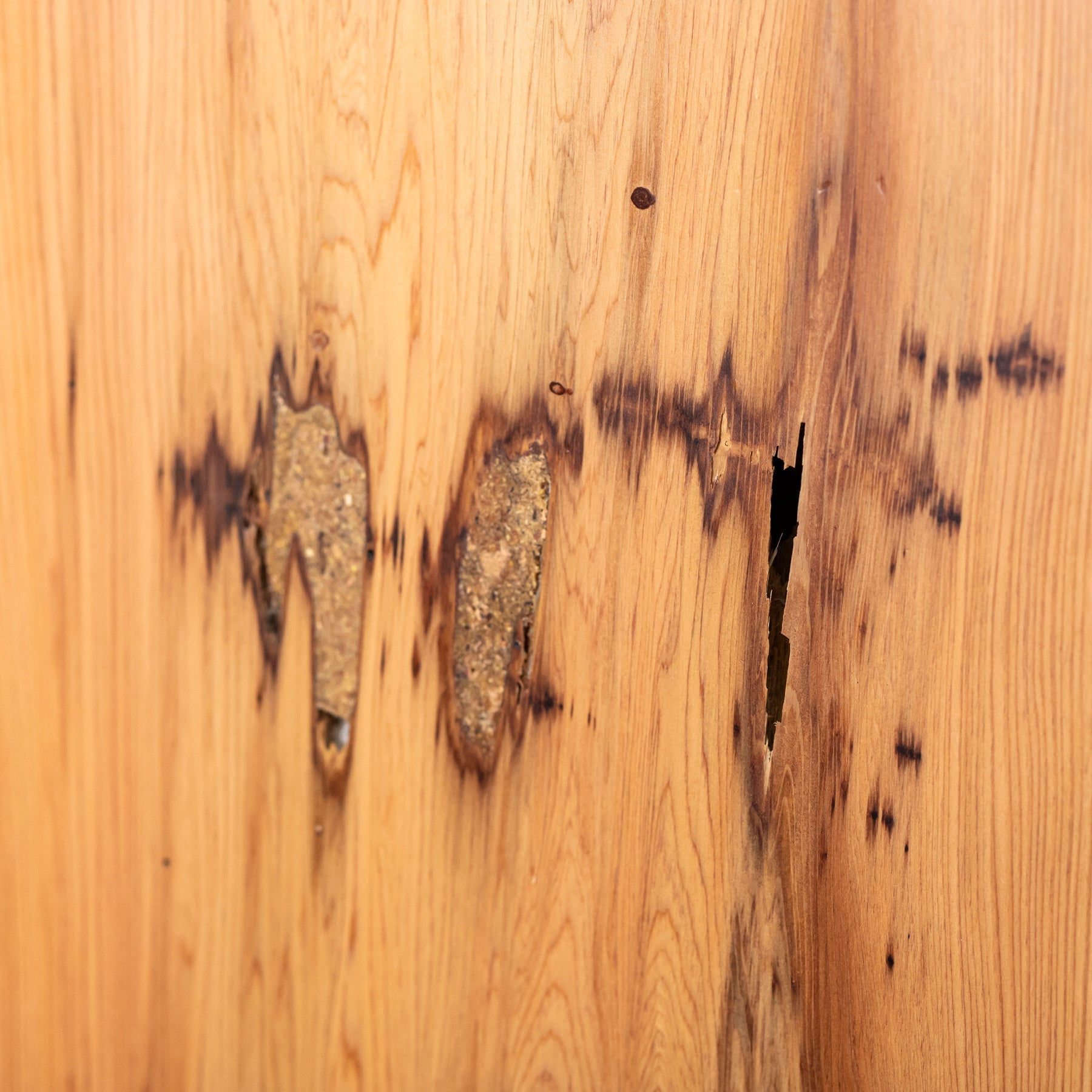 厳選一枚板 / 屋久杉 #0046　1950 × 622 ~ 855 mm