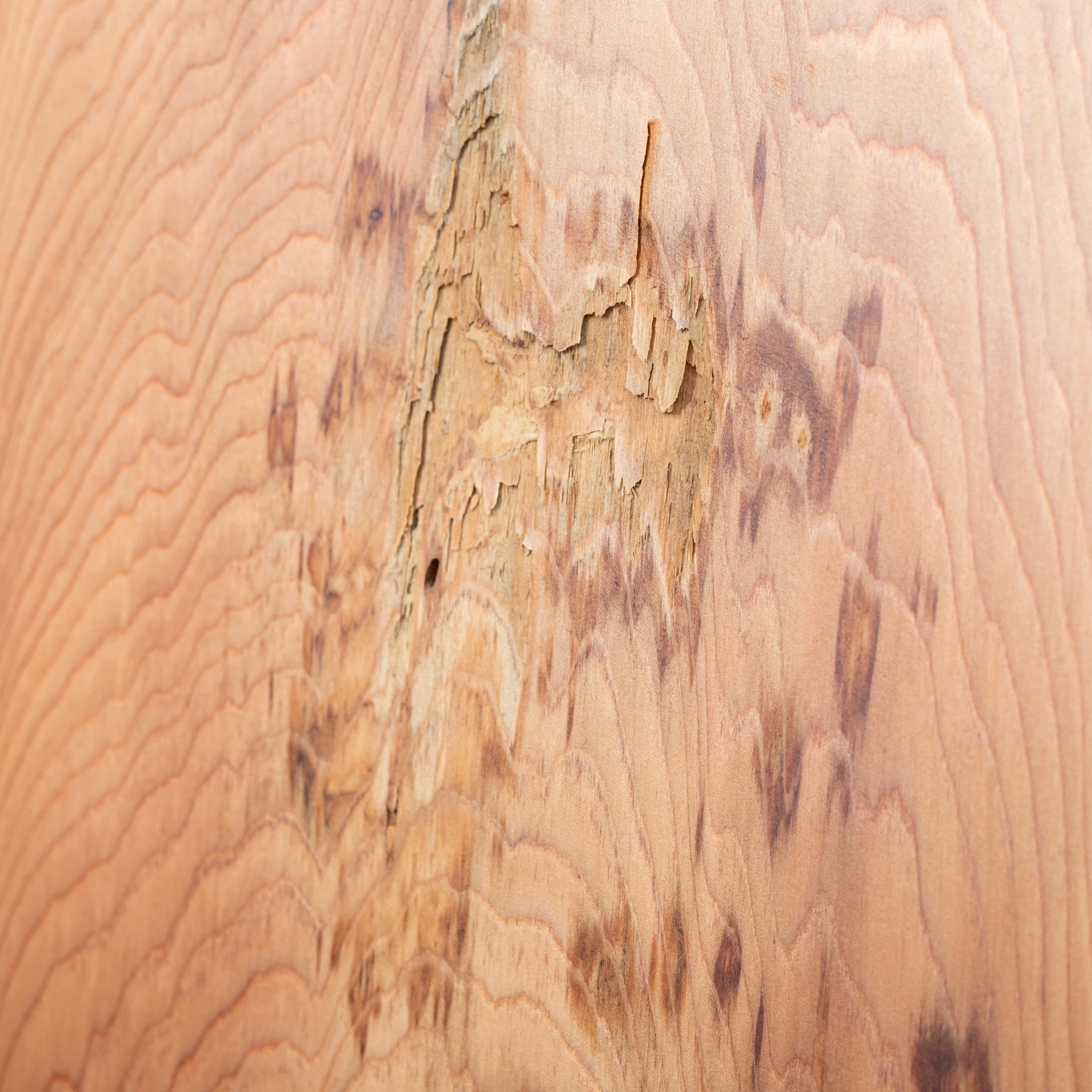 厳選一枚板 / 屋久杉 #0046　1950 × 622 ~ 855 mm