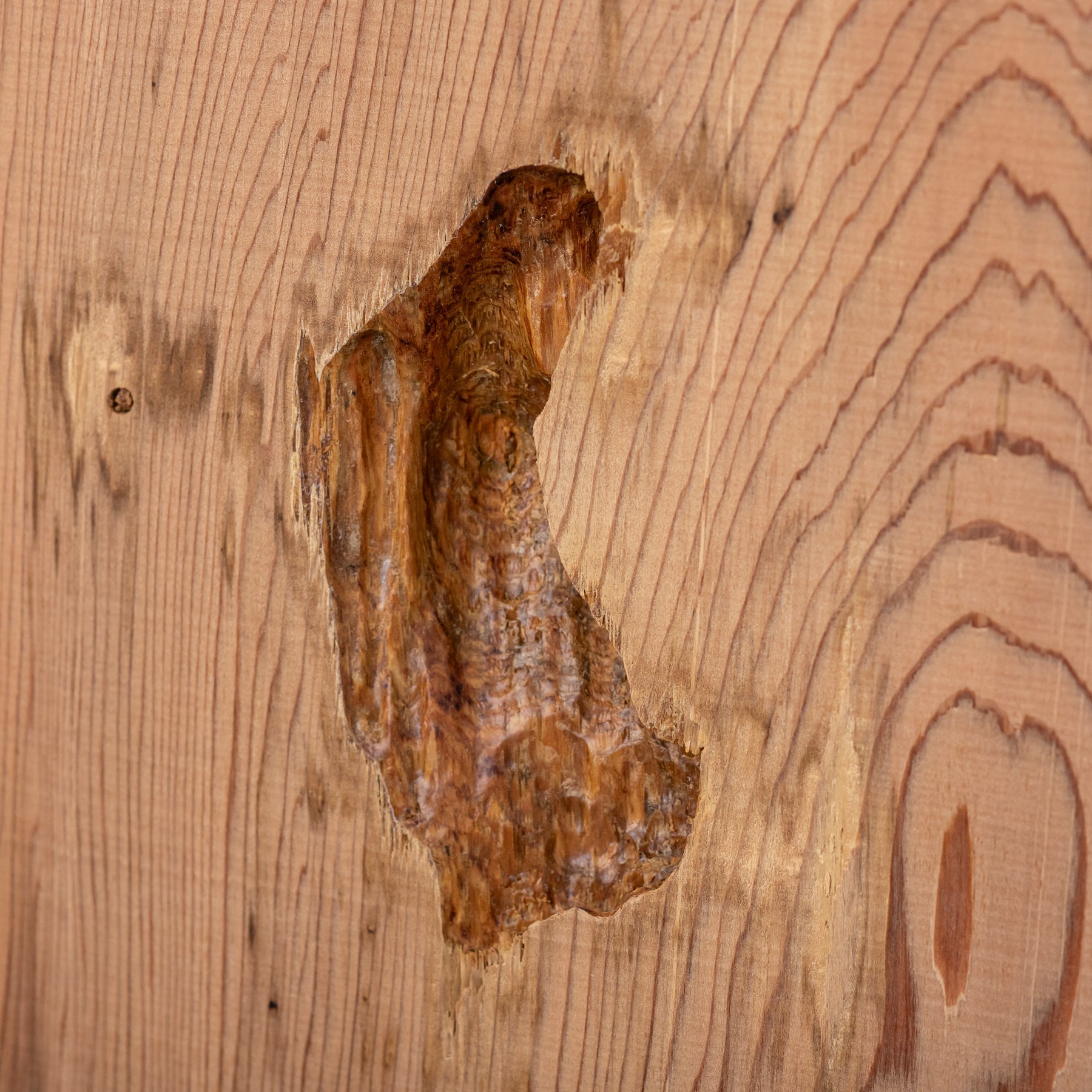 厳選一枚板 / 屋久杉 #0046　1950 × 622 ~ 855 mm