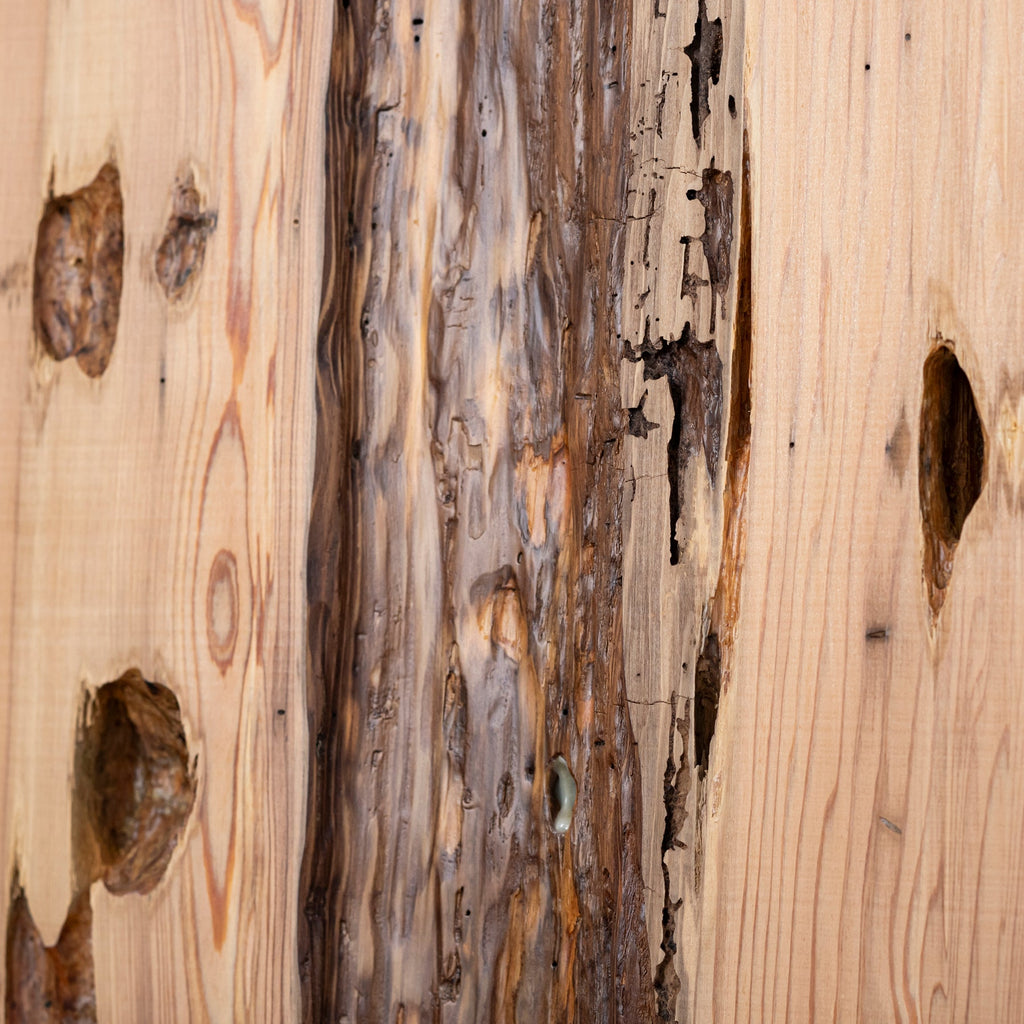 厳選一枚板 / 屋久杉 #0046　1950 × 622 ~ 855 mm