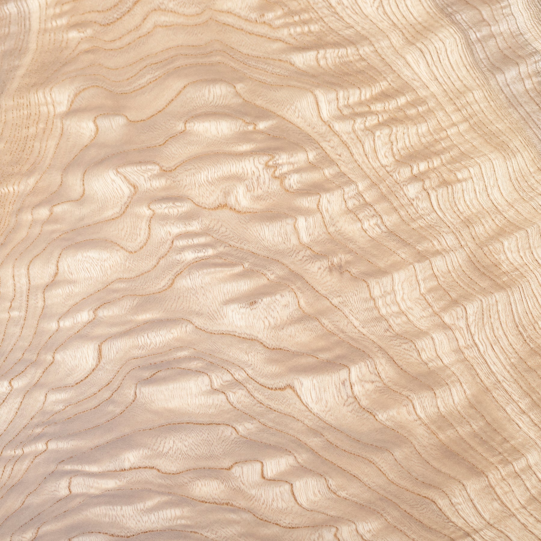一枚板 / セン #0060　2170 × 640 ~ 1010 mm