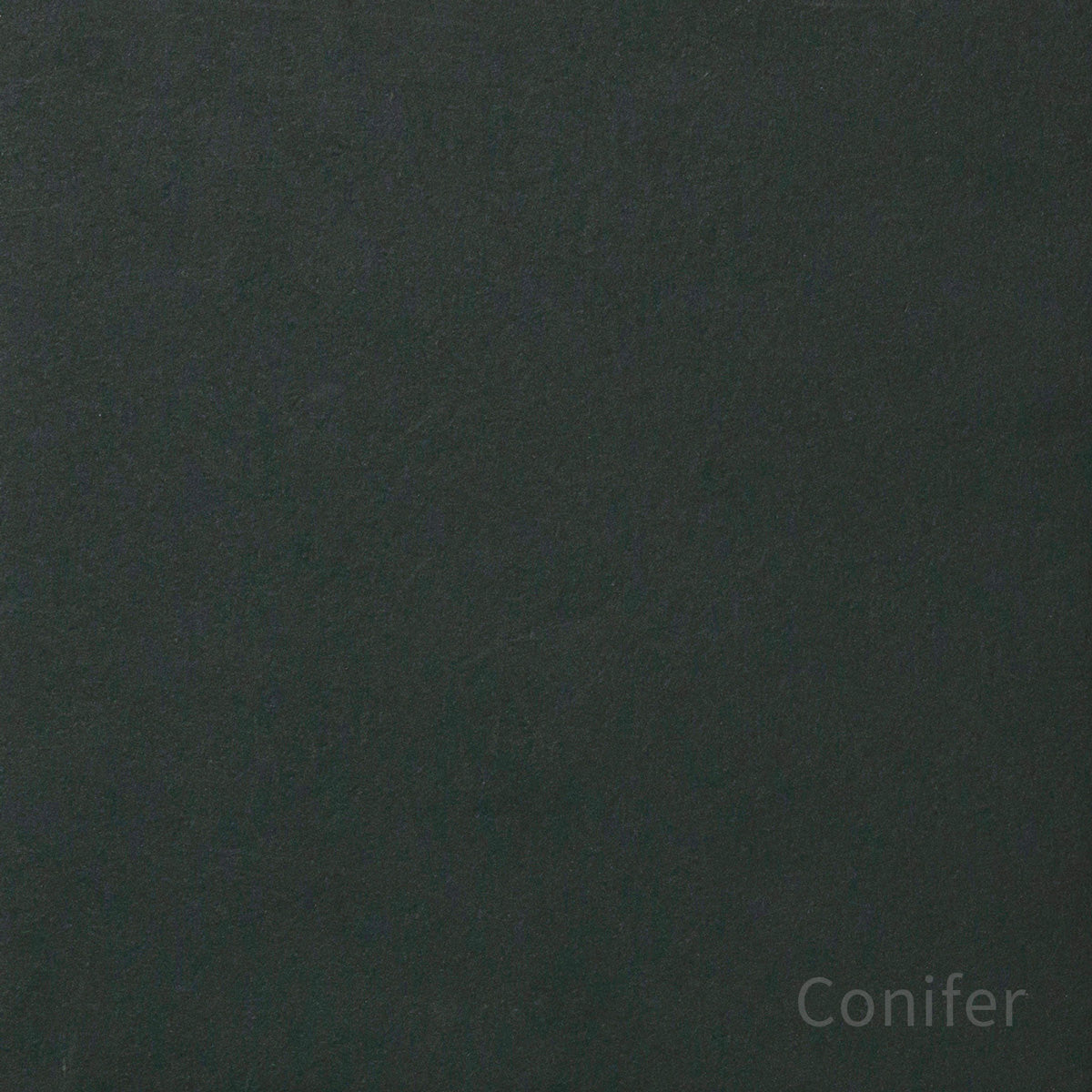 Kanademonoのリノリウム素材の棚板にステンレスフレームを組み合わせた２段ストレージシェルフ /Conifer（色見本）