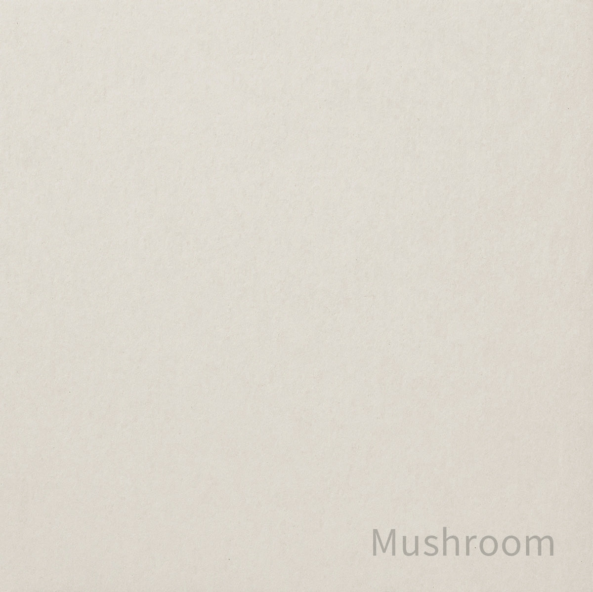 KanademonoのリノリウムMushroom色見本