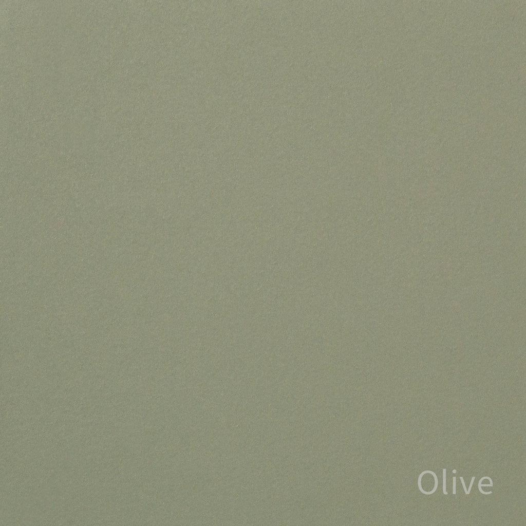 Kanademonoのリノリウム素材の棚板にステンレスフレームを組み合わせた２段ストレージシェルフ /Olive（色見本）